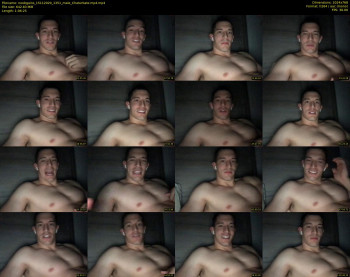 noobgains