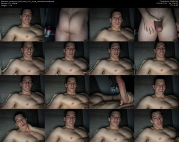 noobgains