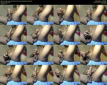 blkcock33