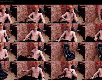 alvin_main