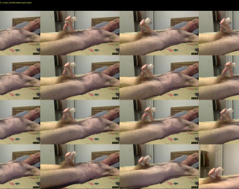 jdog4017