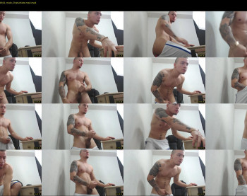 rocco_viloria