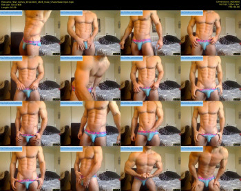 9fat_inches