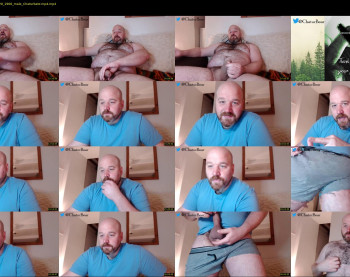 bear_necessity_