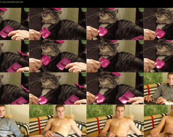 curtis_roy