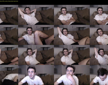sexual_vibrations