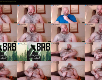 bear_necessity_