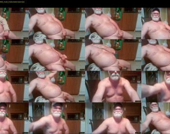 beartruck55
