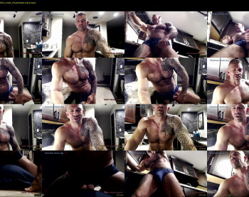 muscle_dog
