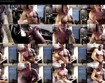 muscle_dog