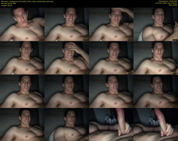 noobgains