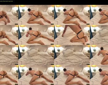 gay_xl