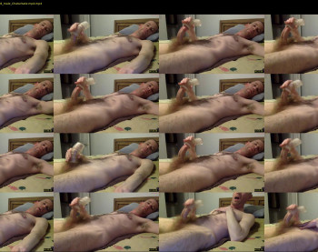 jdog4017