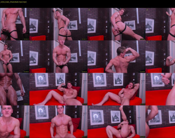 steevemuscle