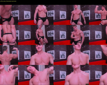 steevemuscle
