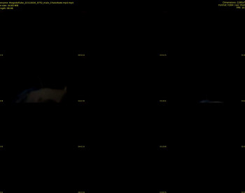 thegodoflube