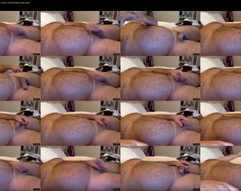 afatboy