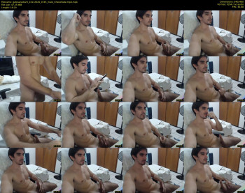 gatosarado23