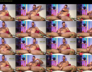 hot_bear_