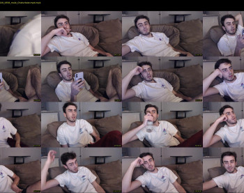 sexual_vibrations