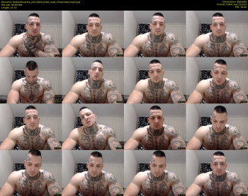 thebestmuscles