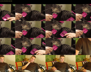 curtis_roy