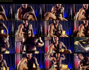 muscle_dog