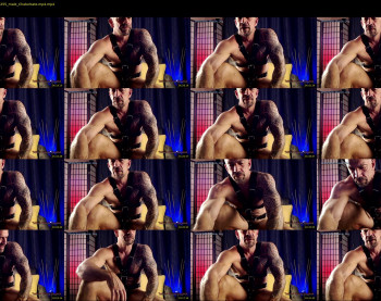 muscle_dog