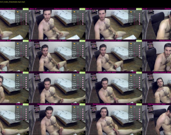 osito_blanco