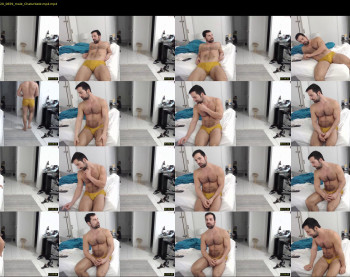 therealkingyoshi