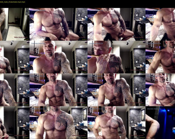 muscle_dog