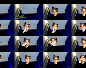 schrod_kitten