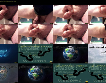 yellowsnakes