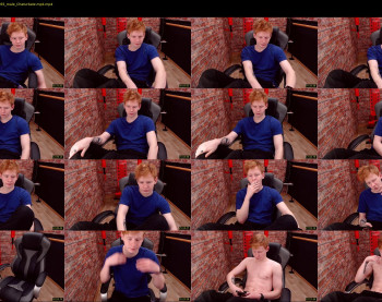 alvin_main