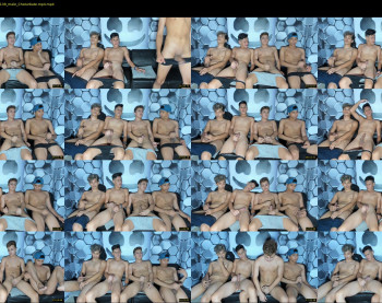 cockfight18
