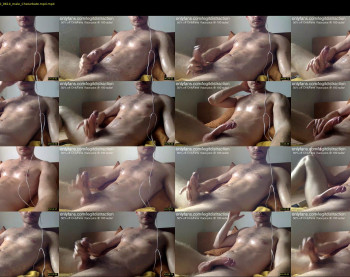 legitdistraction