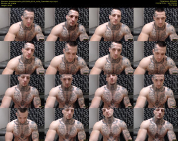 thebestmuscles