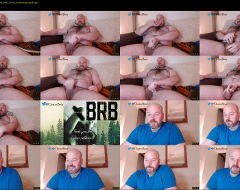 bear_necessity_
