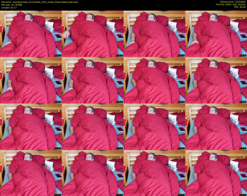 hanssexchat2