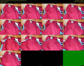 hanssexchat2