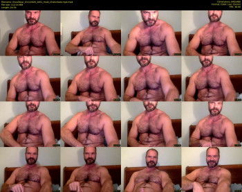 musclbear