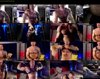 muscle_dog