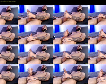 alphamatteo