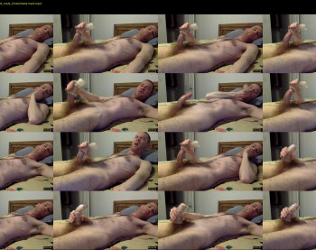 jdog4017