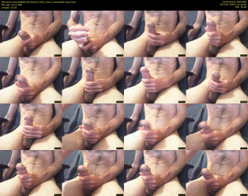 donee6699