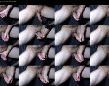 fuzzface1