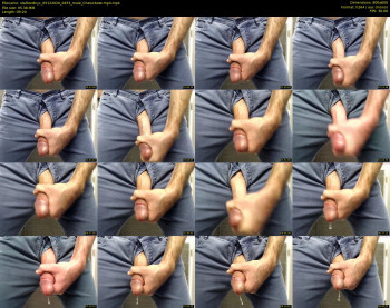 stallion8nyc