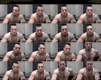 thebestmuscles