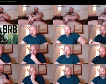 bear_necessity_