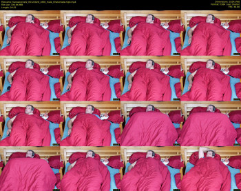 hanssexchat2